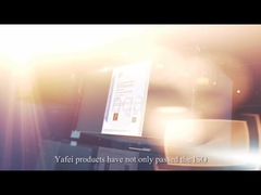 Введение компании